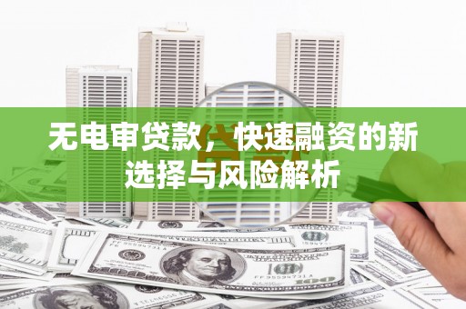拉萨无电审贷款，快速融资的新选择与风险解析