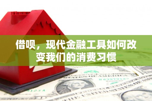 拉萨借呗，现代金融工具如何改变我们的消费习惯