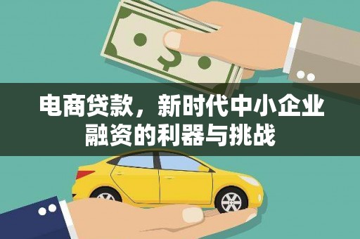 拉萨电商贷款，新时代中小企业融资的利器与挑战
