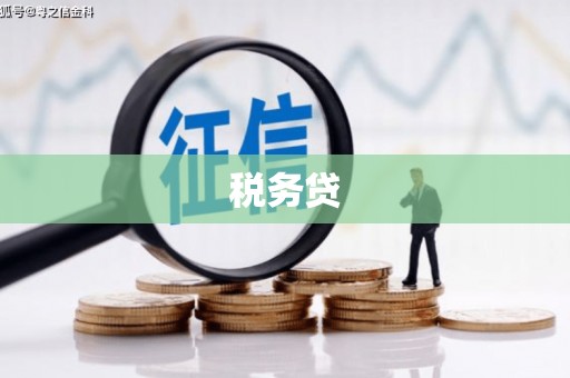 拉萨税务贷