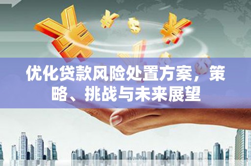 拉萨优化贷款风险处置方案，策略、挑战与未来展望