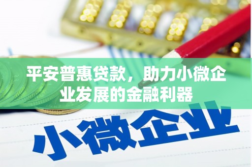 拉萨平安普惠贷款，助力小微企业发展的金融利器
