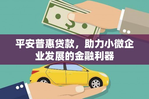 拉萨平安普惠贷款，助力小微企业发展的金融利器