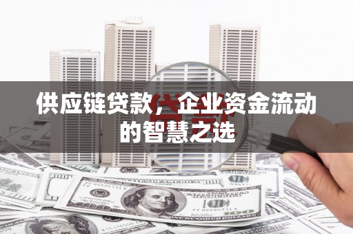拉萨供应链贷款，企业资金流动的智慧之选