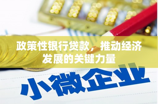 拉萨政策性银行贷款，推动经济发展的关键力量