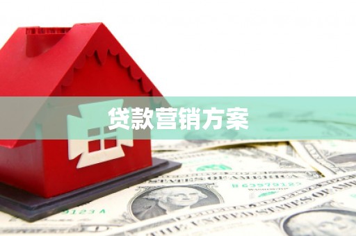 拉萨贷款营销方案
