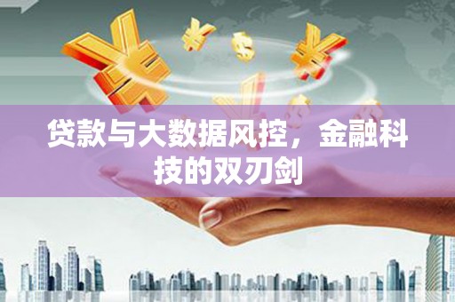 拉萨贷款与大数据风控，金融科技的双刃剑