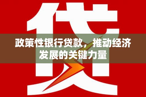 拉萨政策性银行贷款，推动经济发展的关键力量