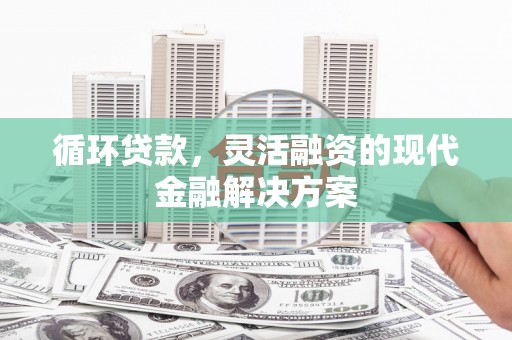 拉萨循环贷款，灵活融资的现代金融解决方案