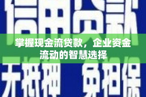 拉萨掌握现金流贷款，企业资金流动的智慧选择
