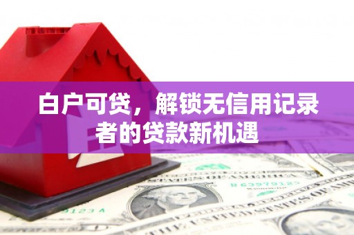 拉萨白户可贷，解锁无信用记录者的贷款新机遇