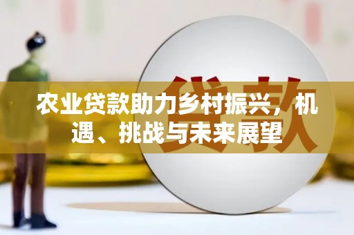 拉萨农业贷款助力乡村振兴，机遇、挑战与未来展望