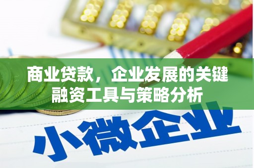 拉萨商业贷款，企业发展的关键融资工具与策略分析