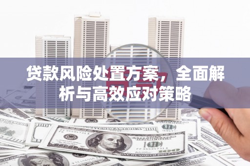 拉萨贷款风险处置方案，全面解析与高效应对策略