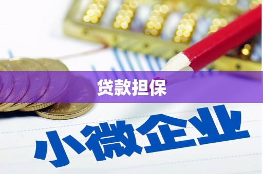 拉萨贷款担保