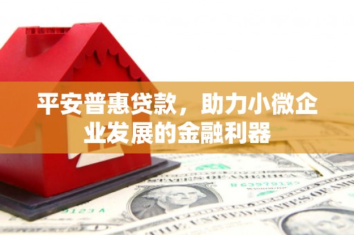 拉萨平安普惠贷款，助力小微企业发展的金融利器