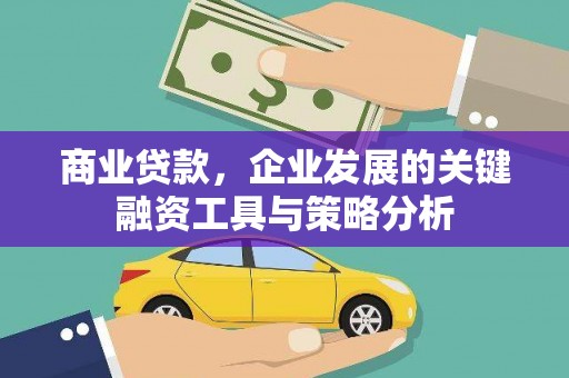 拉萨商业贷款，企业发展的关键融资工具与策略分析