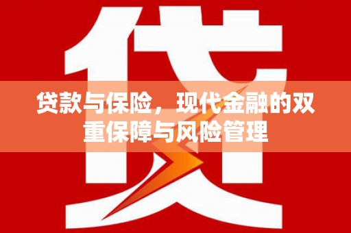 拉萨贷款与保险，现代金融的双重保障与风险管理
