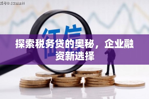 拉萨探索税务贷的奥秘，企业融资新选择