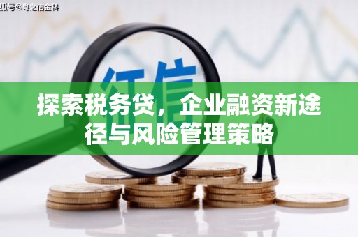 拉萨探索税务贷，企业融资新途径与风险管理策略