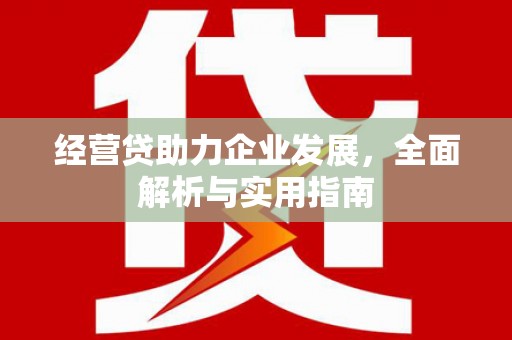 拉萨经营贷助力企业发展，全面解析与实用指南