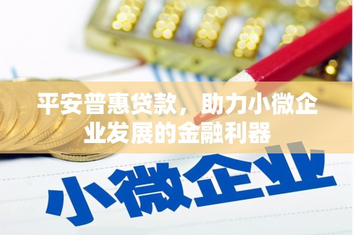 拉萨平安普惠贷款，助力小微企业发展的金融利器