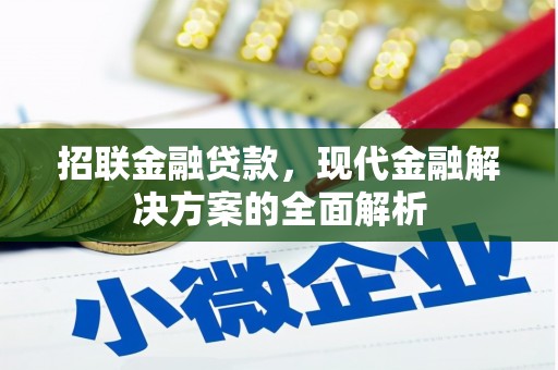 拉萨招联金融贷款，现代金融解决方案的全面解析
