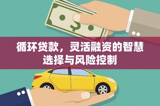 拉萨循环贷款，灵活融资的智慧选择与风险控制