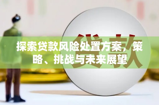 拉萨探索贷款风险处置方案，策略、挑战与未来展望