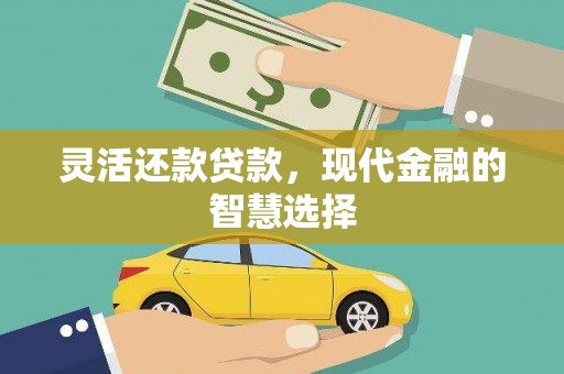 拉萨灵活还款贷款，现代金融的智慧选择