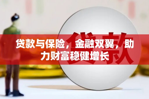 拉萨贷款与保险，金融双翼，助力财富稳健增长