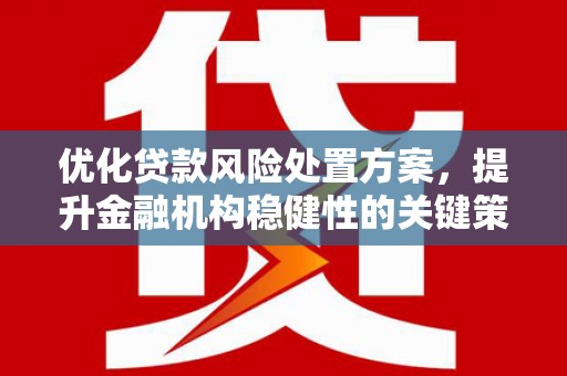 拉萨优化贷款风险处置方案，提升金融机构稳健性的关键策略
