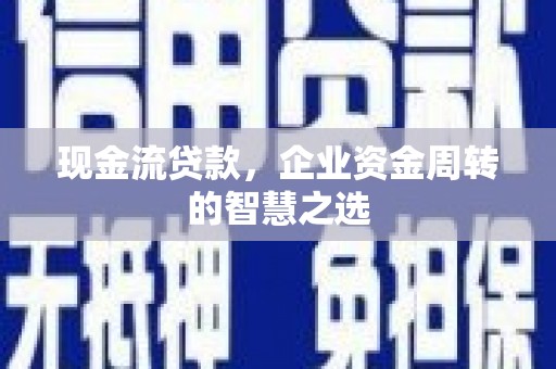 拉萨现金流贷款，企业资金周转的智慧之选