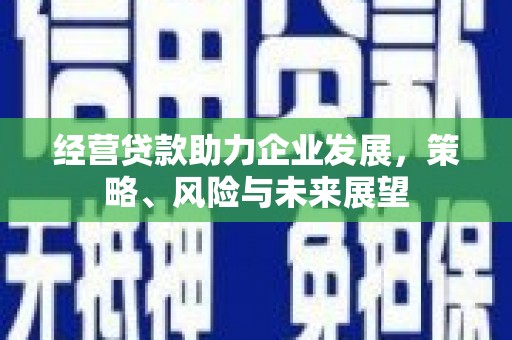 拉萨经营贷款助力企业发展，策略、风险与未来展望