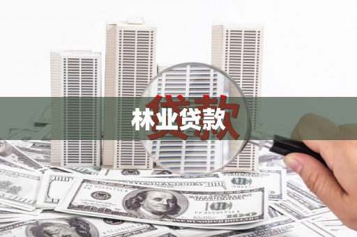 拉萨林业贷款