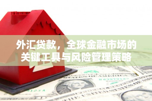 拉萨外汇贷款，全球金融市场的关键工具与风险管理策略