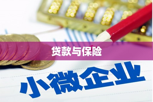 拉萨贷款与保险