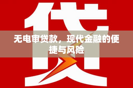 拉萨无电审贷款，现代金融的便捷与风险