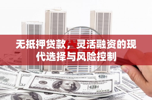 拉萨无抵押贷款，灵活融资的现代选择与风险控制