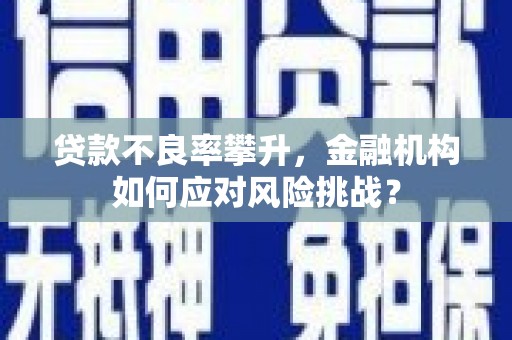 拉萨贷款不良率攀升，金融机构如何应对风险挑战？