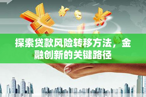 拉萨探索贷款风险转移方法，金融创新的关键路径