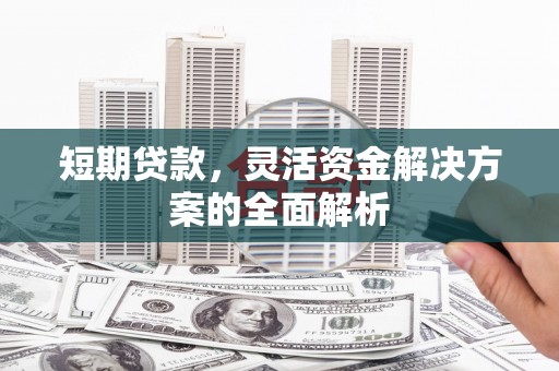 拉萨短期贷款，灵活资金解决方案的全面解析