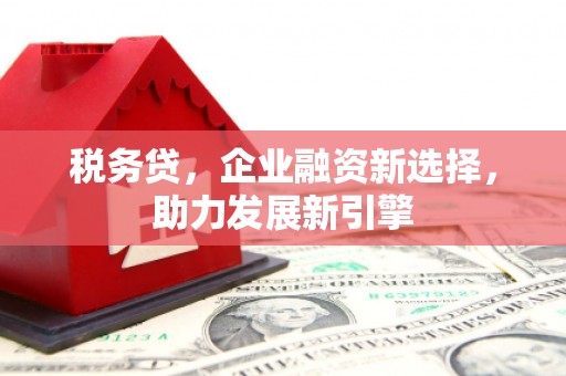 拉萨税务贷，企业融资新选择，助力发展新引擎