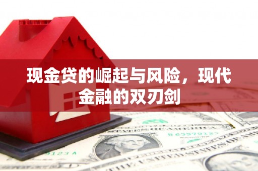拉萨现金贷的崛起与风险，现代金融的双刃剑