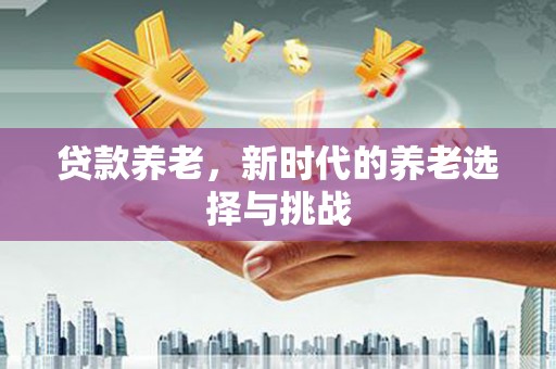 拉萨贷款养老，新时代的养老选择与挑战