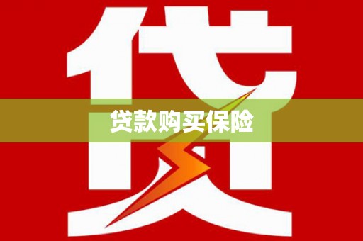 拉萨贷款购买保险