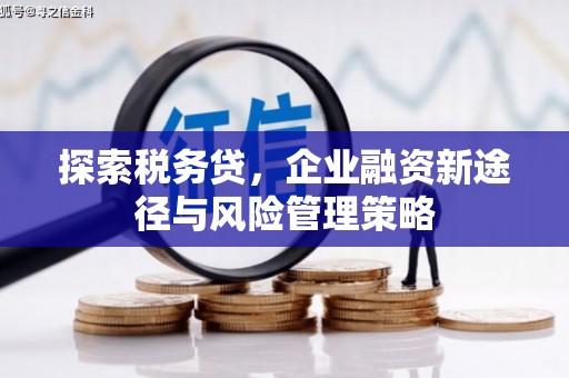 拉萨探索税务贷，企业融资新途径与风险管理策略