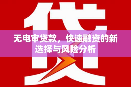 拉萨无电审贷款，快速融资的新选择与风险分析