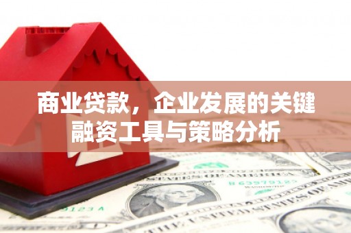 拉萨商业贷款，企业发展的关键融资工具与策略分析