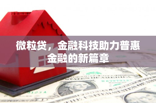 拉萨微粒贷，金融科技助力普惠金融的新篇章